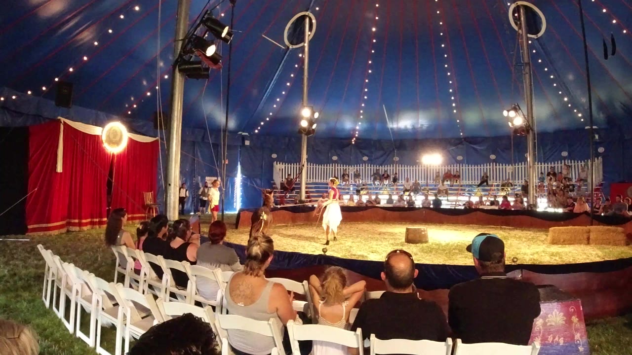 Wide view inside a Broomfield, Colorado circus tent, with white chairs and seated spectators in the foreground and a performer in a white costume near the lit ring.