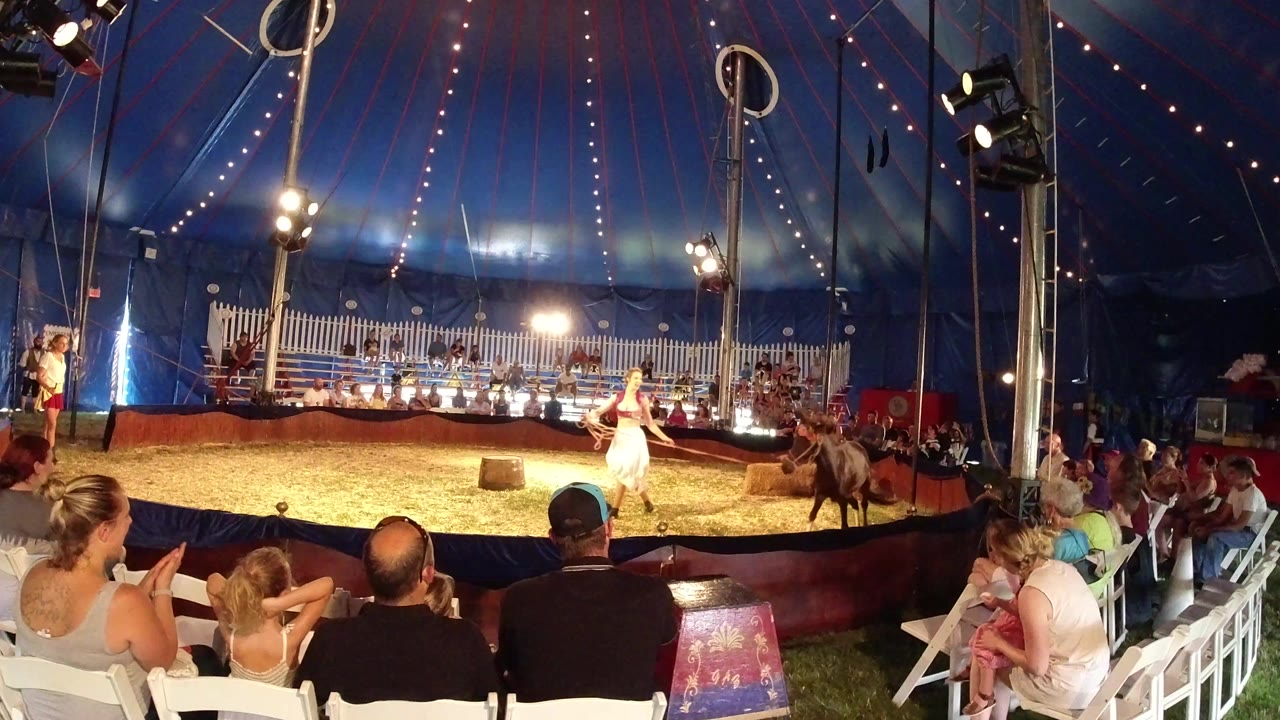 Woman performing with a horse inside a circus tent before a seated audience.