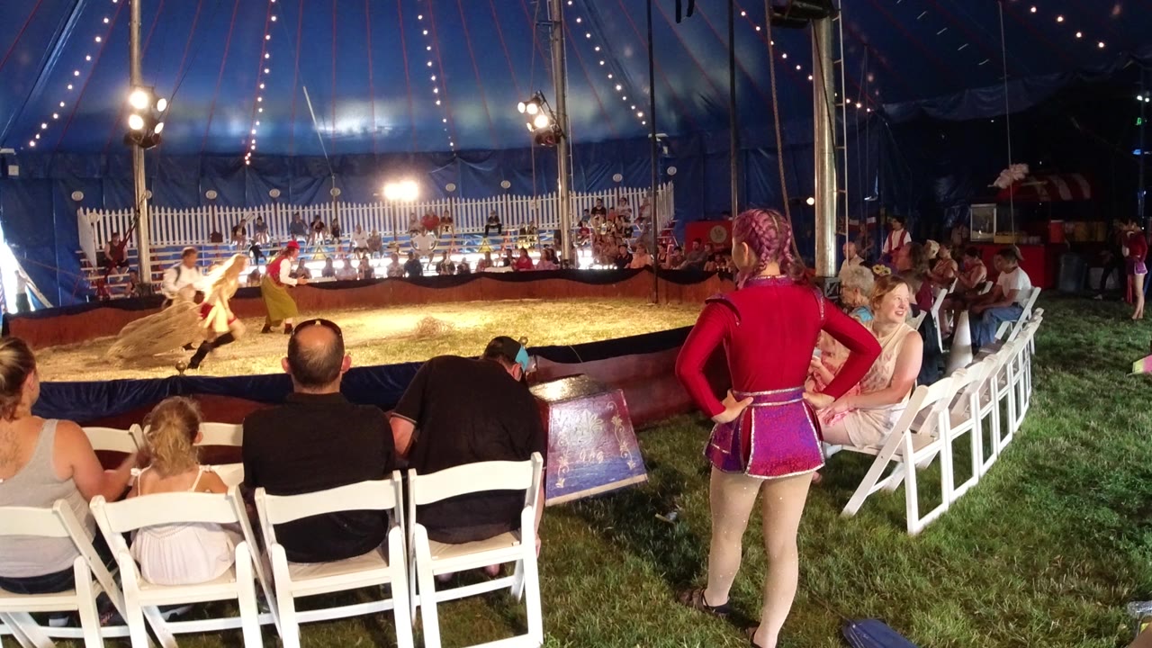 Audience seated beside a circus ring under a blue tent
