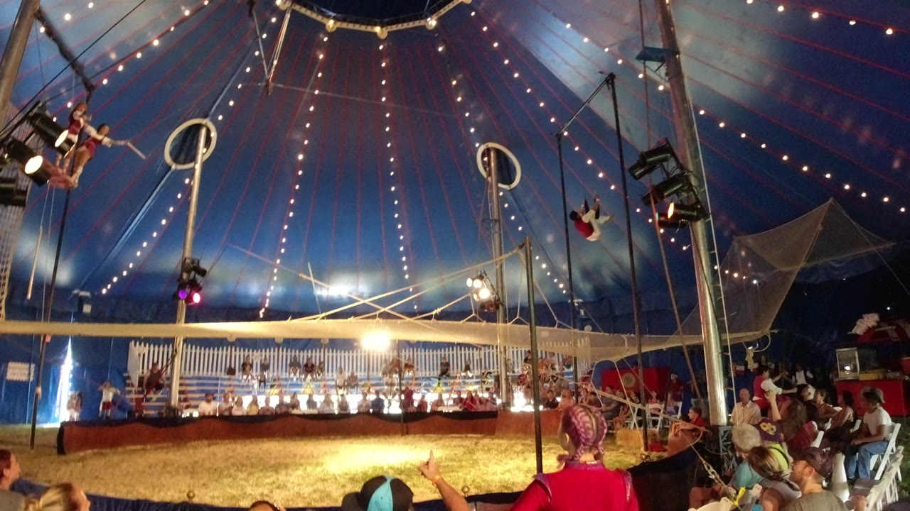 A wide view inside a Broomfield, Colorado circus tent shows a trapeze performer in red high at upper left, a seated audience below, and bright string lights across the blue tent ceiling.