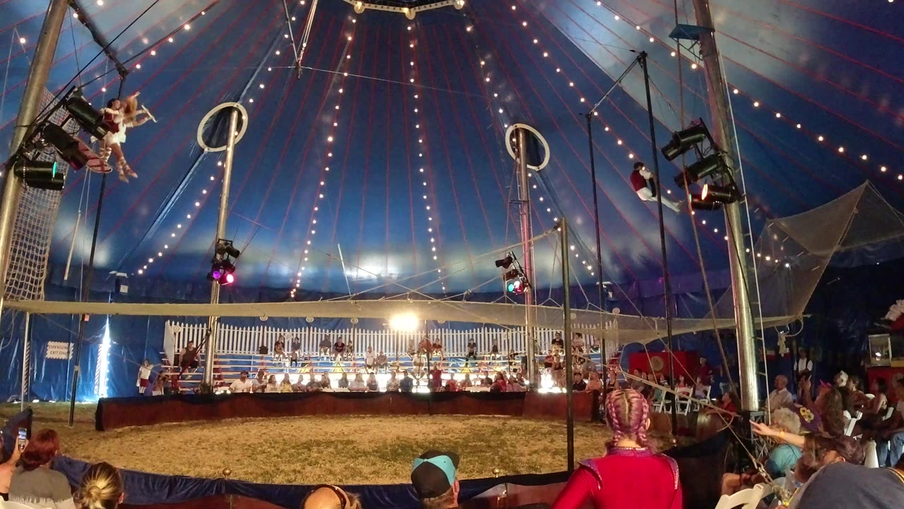 Trapeze performers above a circus ring with spectators in the foreground.