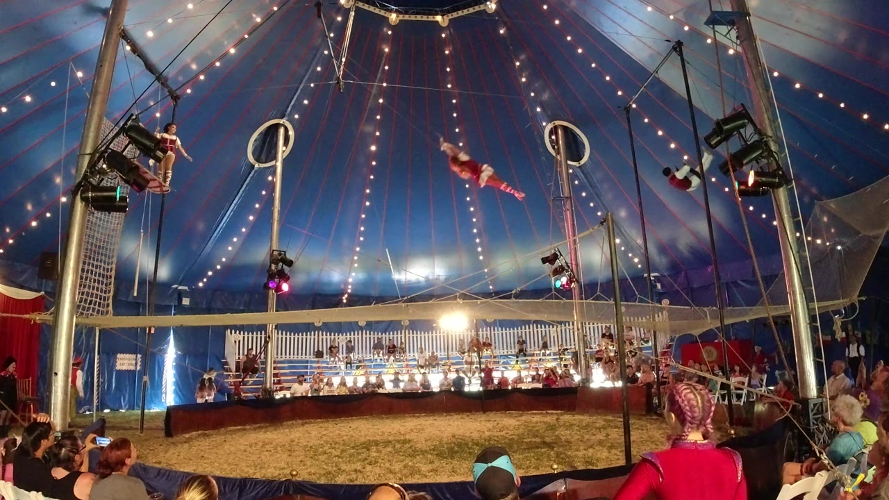 Wide circus tent view with trapeze performers above an audience.
