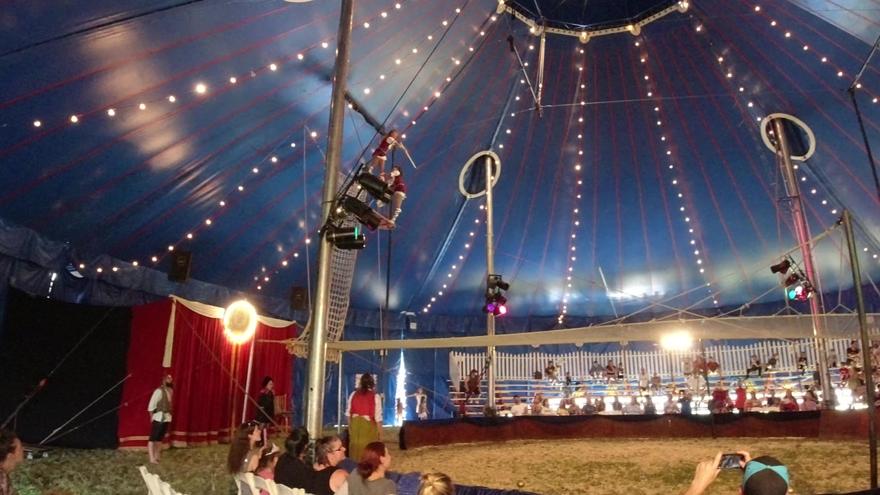 Aerial performers on swings under a blue circus tent with audience in front.
