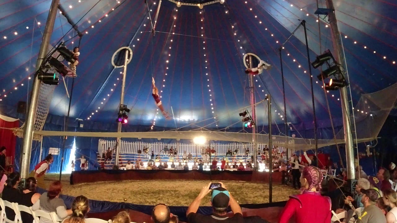 Wide circus tent view with trapeze performer above the ring and spectators seated in front.