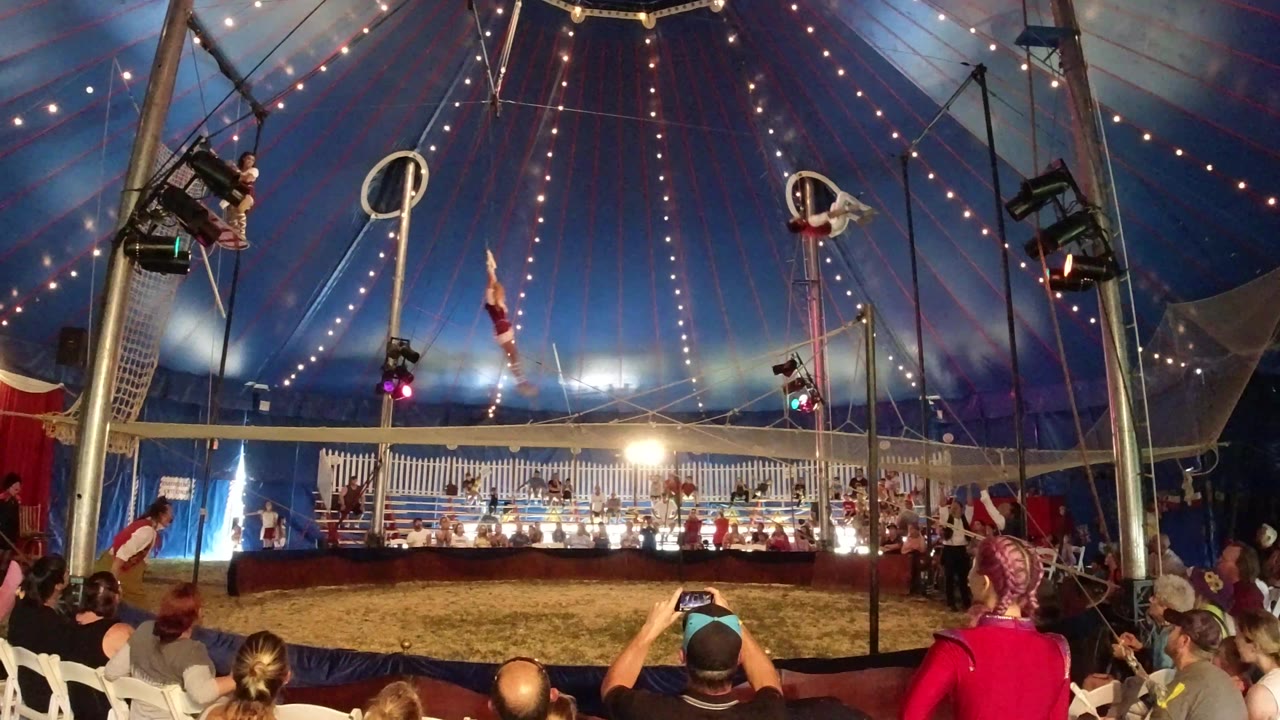 The trapeze performer appears near the upper center of the Broomfield circus tent while audience members watch from white chairs below the safety net.