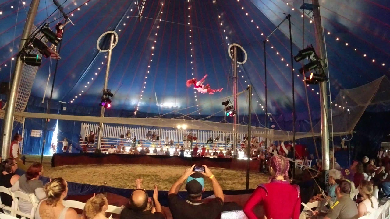 Wide circus tent view with audience watching an aerial performer.