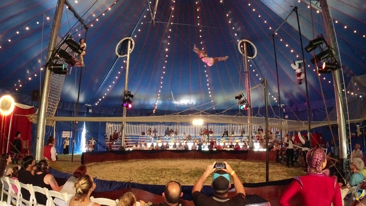 Aerial performers swing above a circus ring inside a tent.