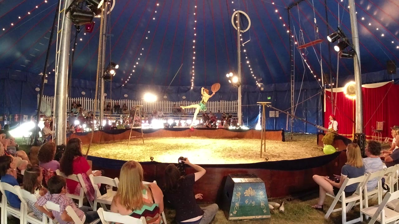 Wide circus tent view with aerial performer on rings and seated audience