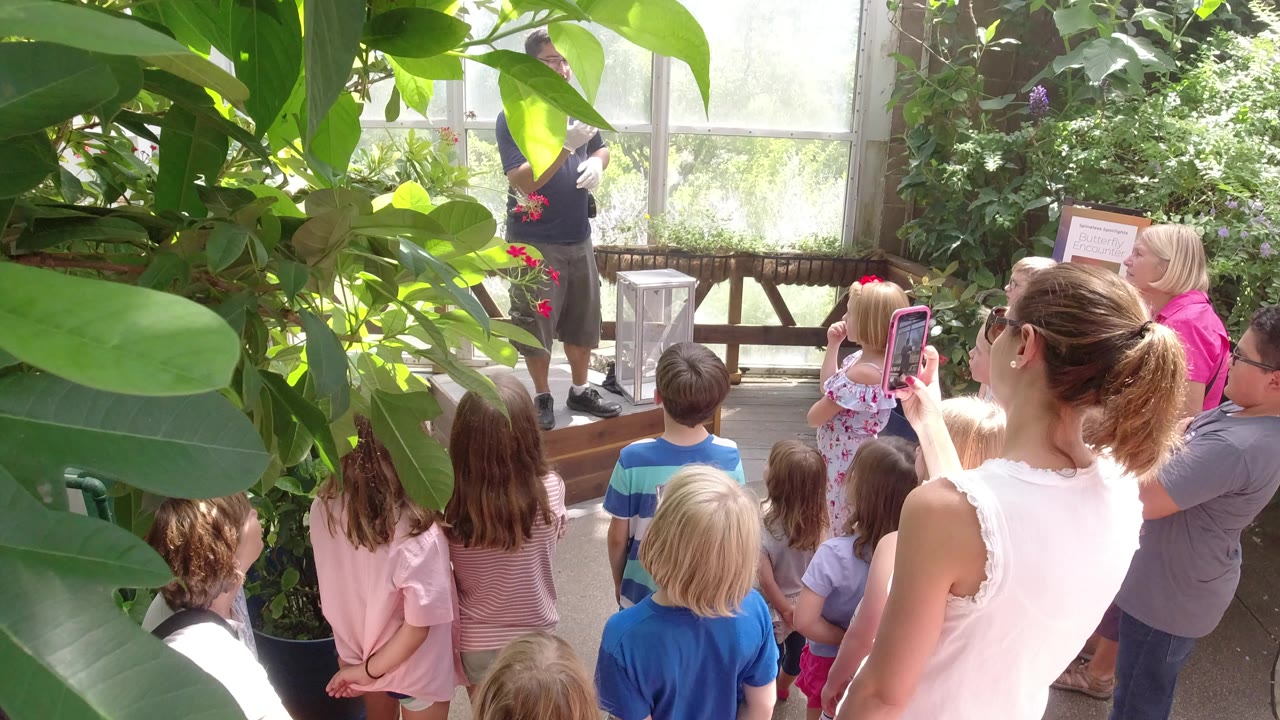 Children and adults listen to a speaker among large indoor plants.