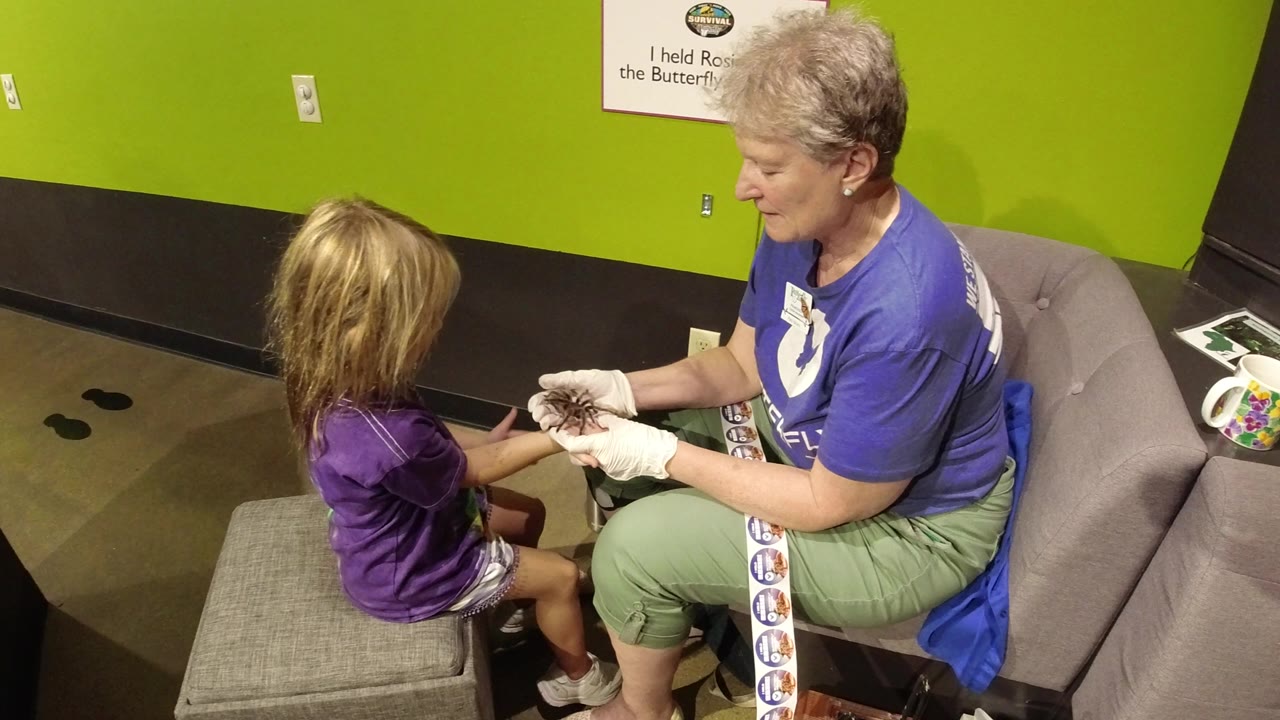 In Broomfield, Colorado, an older woman in gloves holds a large spider near a seated little girl at the start of the clip.
