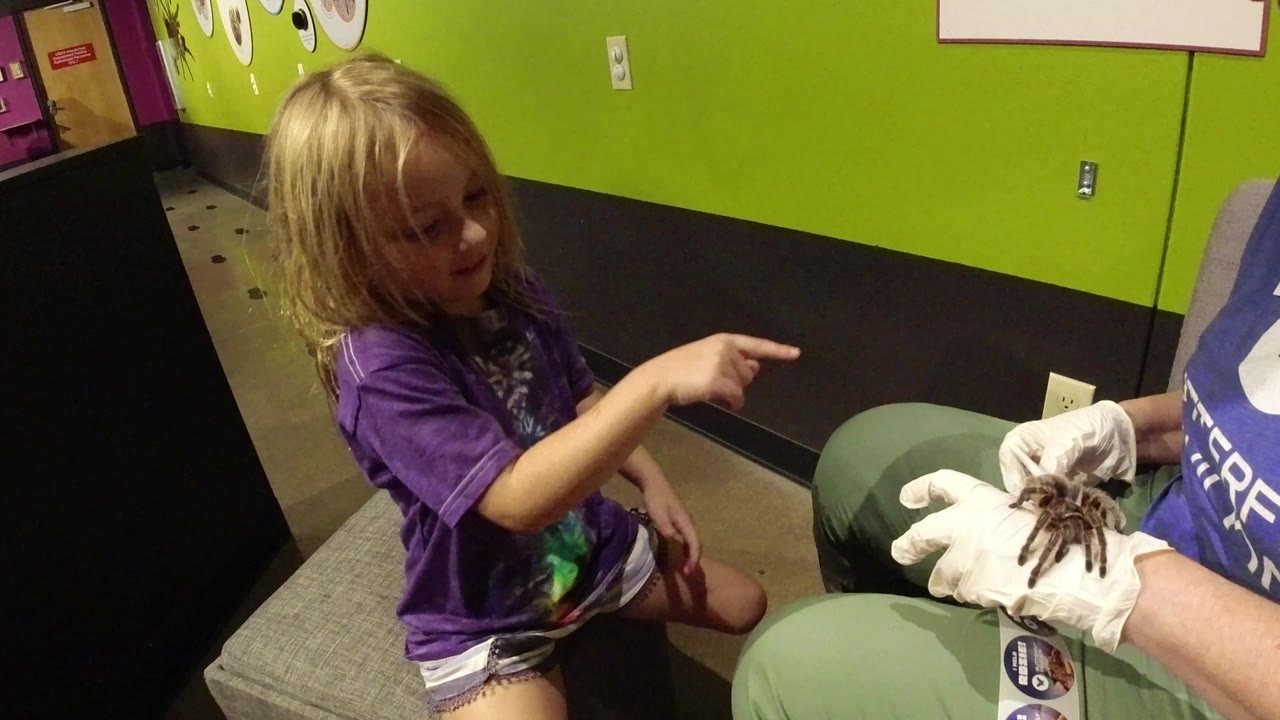 At the start of the Broomfield, Colorado clip, a blonde child in a purple shirt points toward a large spider resting on a gloved adult's hand near a bright green wall.