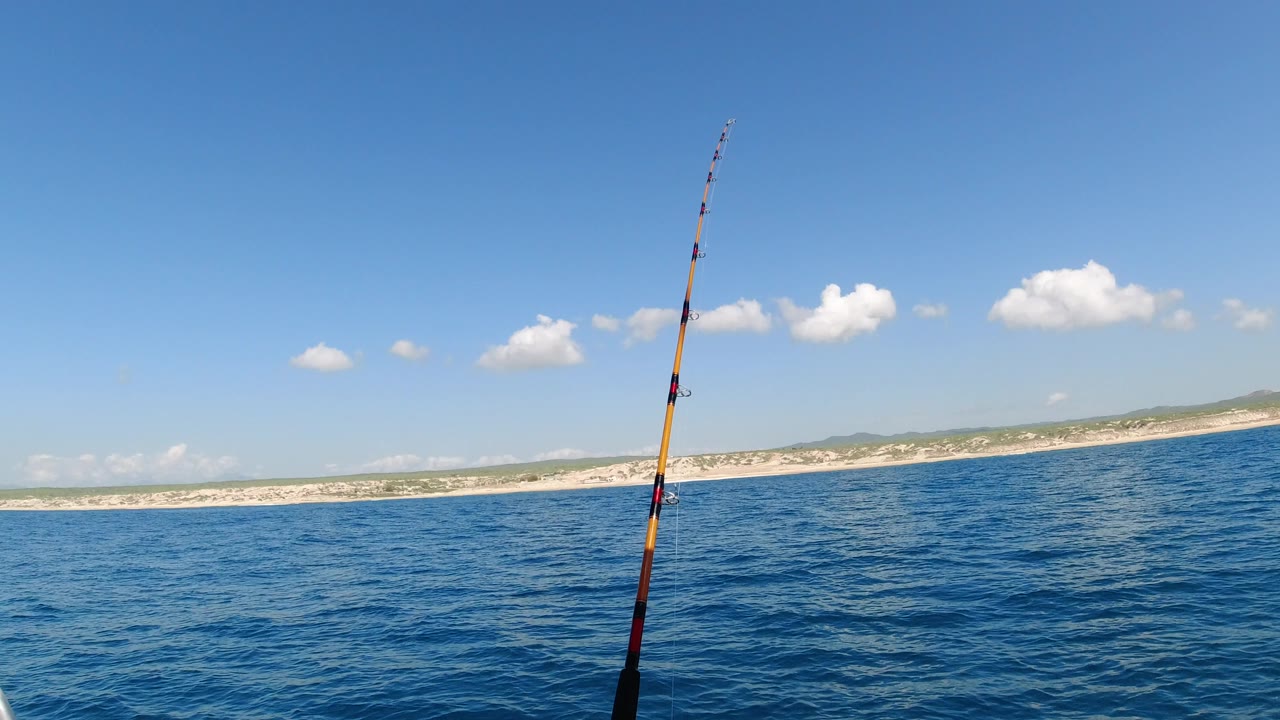 Fishing rod over blue ocean with sandy shoreline in the distance