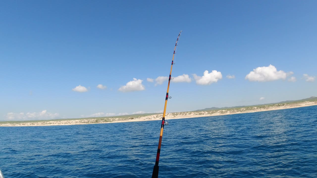 The rod remains near center as the boat looks across dark blue water toward a pale Los Cabos beach and low green hills, with no visible people.