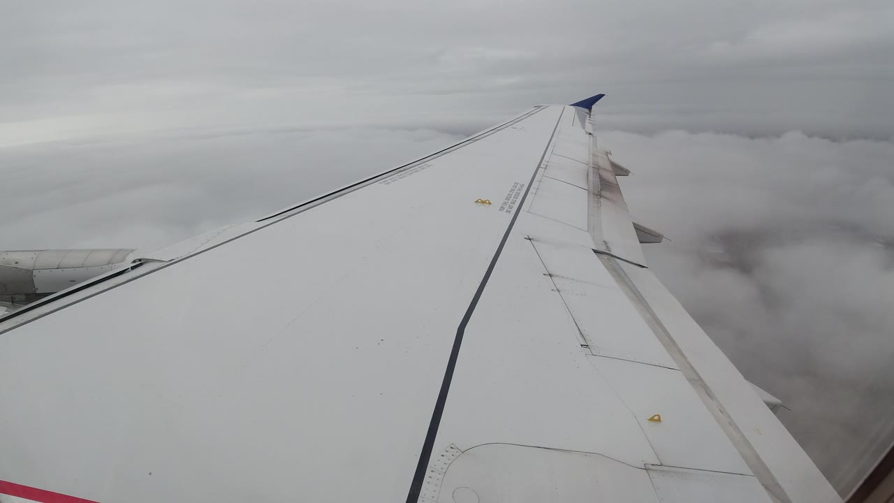 Airplane wing and soft cloud horizon.