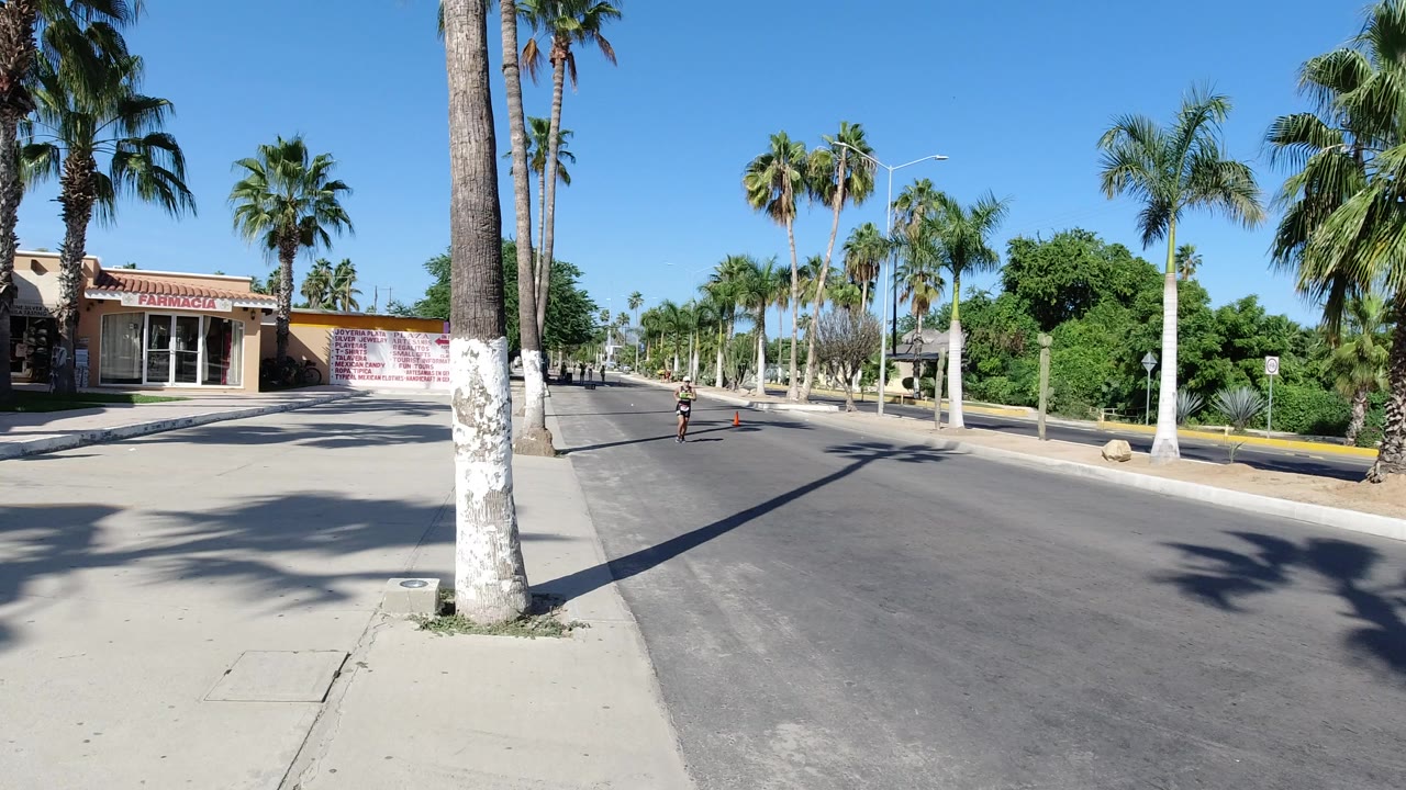 Palm-lined road with a distant runner and storefronts in bright sun.