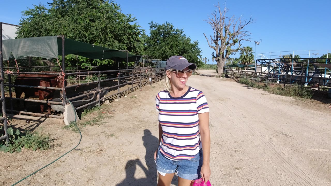 In Los Cabos, Mexico, the woman remains near the horse pens, facing slightly toward camera with a pink cap in hand, while horses stand under green shade cloth.