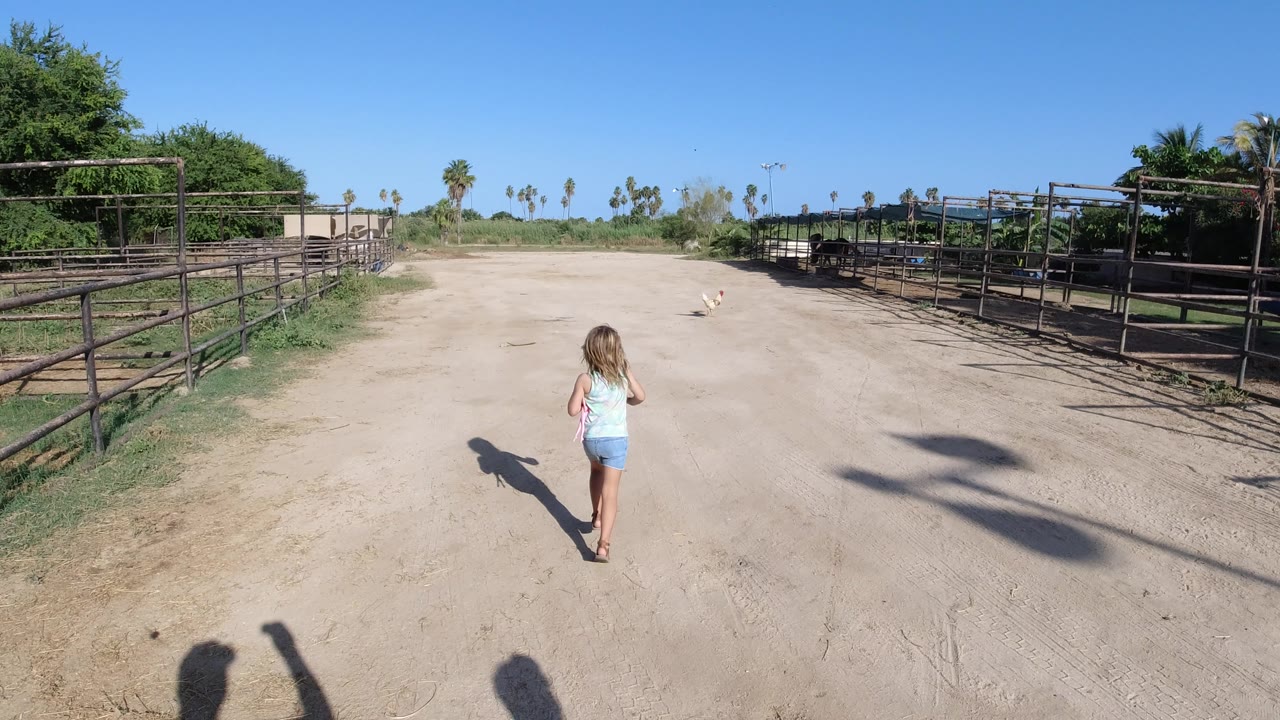 In Los Cabos, Mexico, the girl has moved farther into the open dirt area, with rail fencing to the left and right and palm trees lining the distant background.