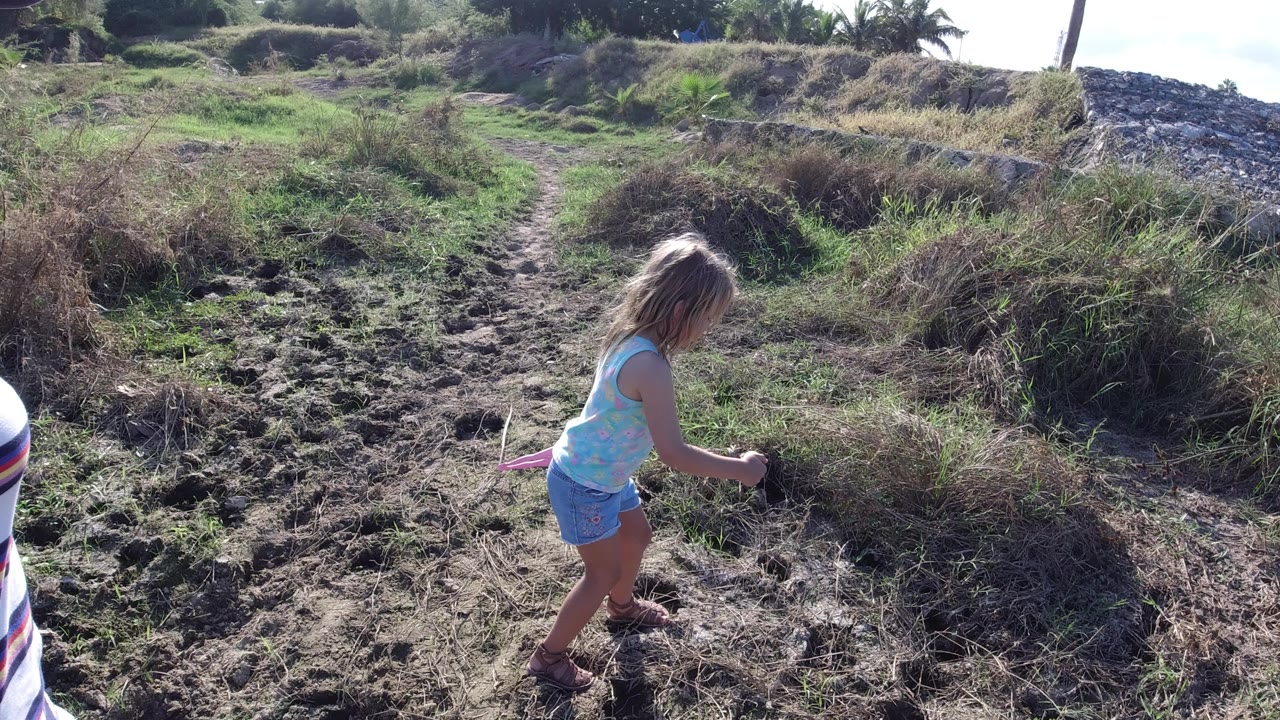 Young girl walking through dry grass on a dirt path.