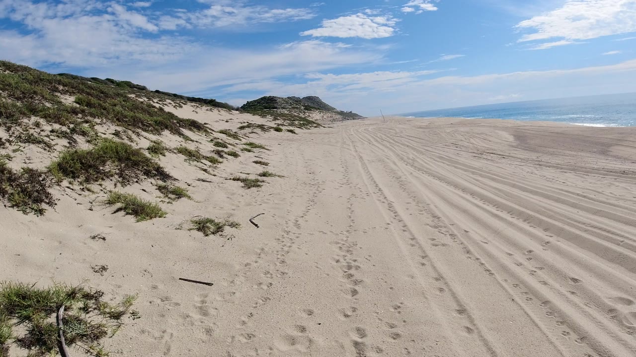 Wide view of a sandy Los Cabos beach track with dune vegetation on the left, ocean surf on the right, a distant headland, and no visible people.