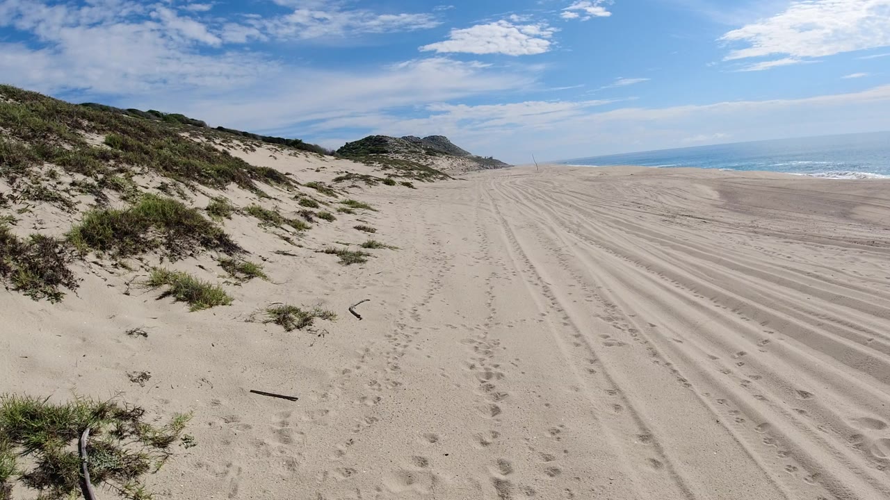 Wide sandy beach with dune plants, ocean, and distant hills.