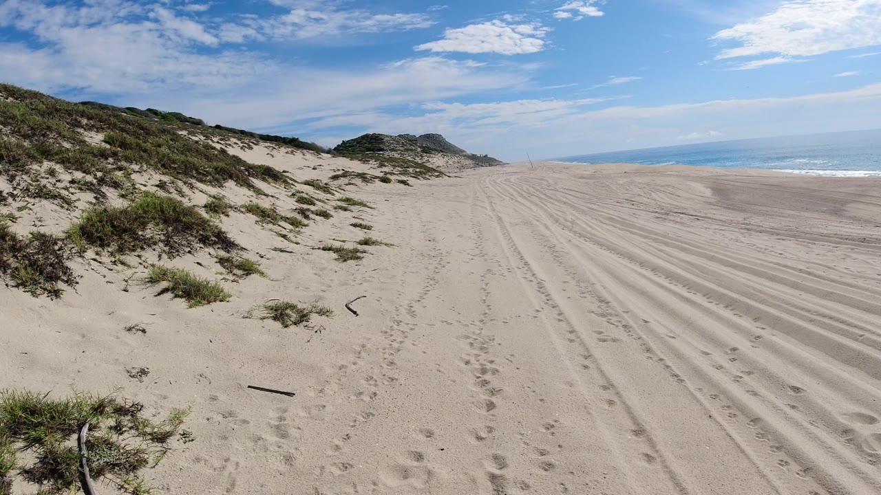 Los Cabos, Mexico sandy beach with footprints and tire tracks leading toward a low headland, dune shrubs on the left, calm sea on the right, and no visible people.