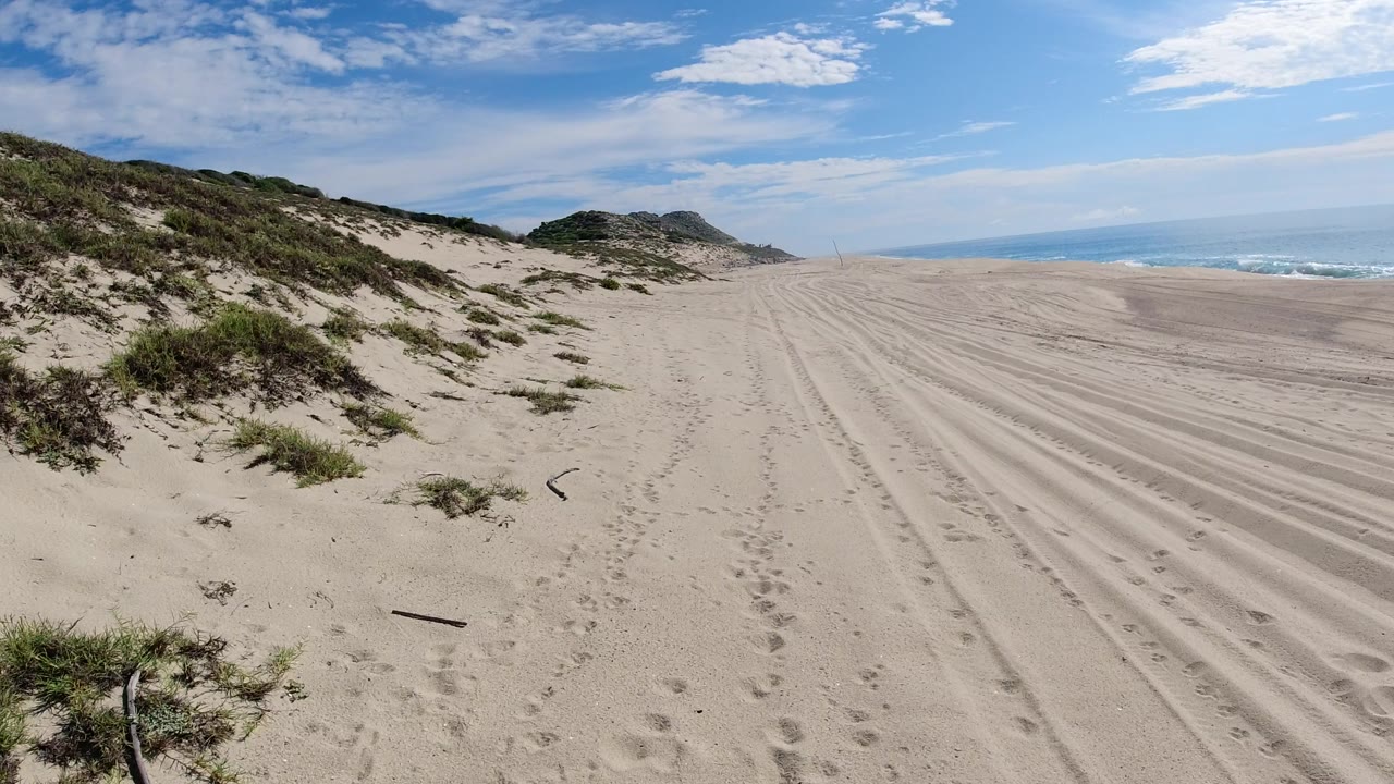 Wide view of a Los Cabos beach with low dune grass on the left, tracked sand across the foreground, ocean at the right edge, blue sky overhead, and no visible people.