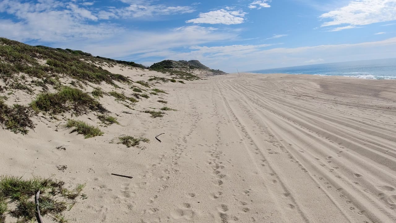 Empty beach with dunes on the left and surf on the right.