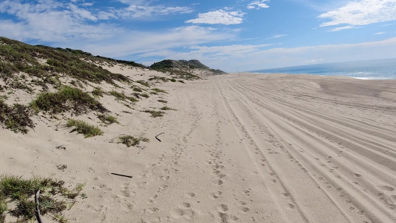 Wide Los Cabos beach view at the start of the clip, with dune vegetation on the left, tire tracks and footprints in the sand, ocean on the right, and no visible people.