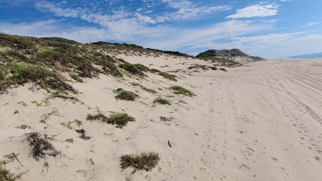 Los Cabos, Mexico beach desert scene with a broad sandy path, scattered green plants, low hills on the horizon, high blue sky, and no visible people.