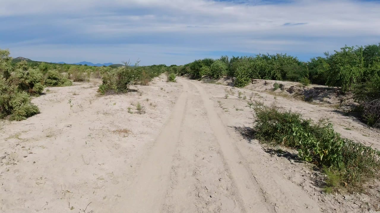 Sandy dirt track cutting through green desert shrubs under a blue sky.