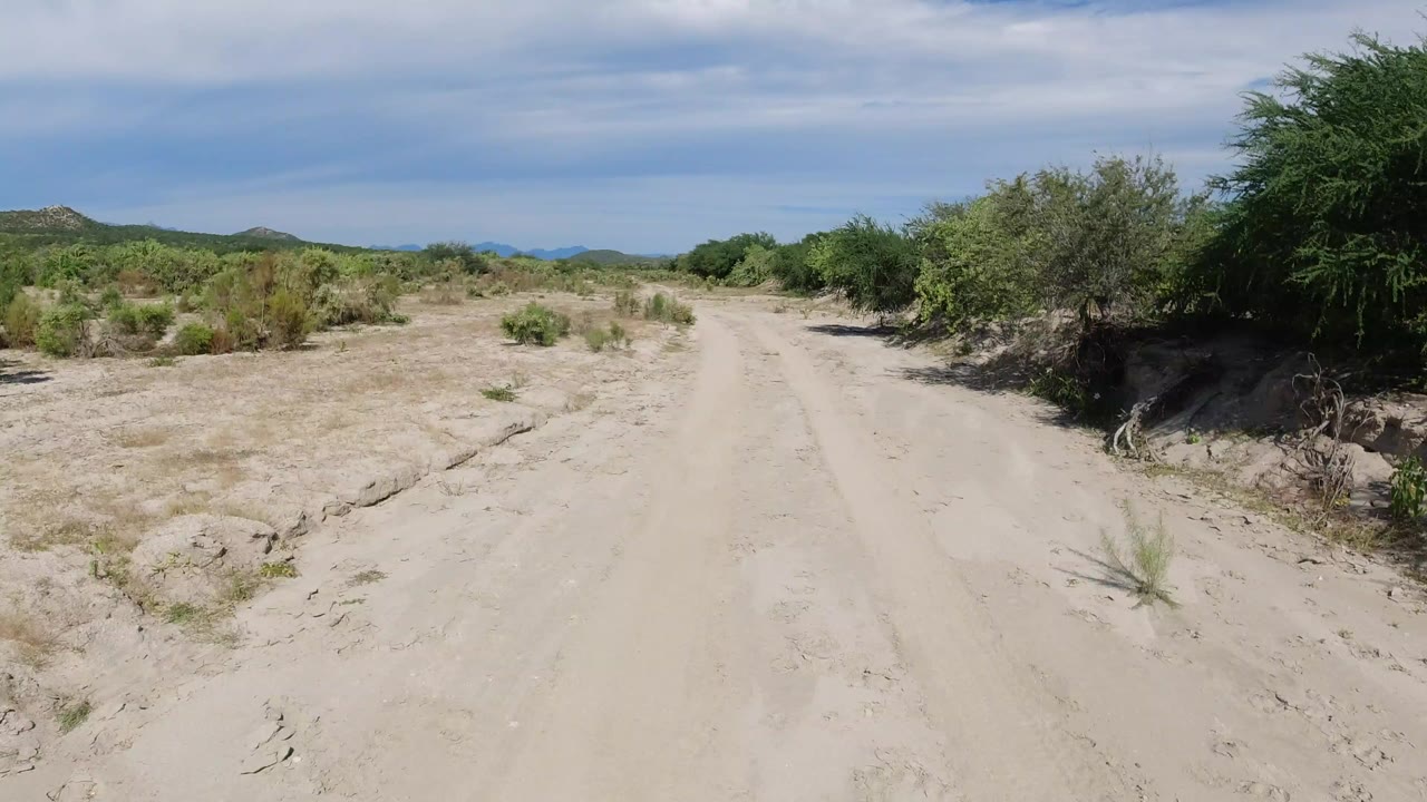 A sandy road in Los Cabos, Mexico runs between low desert shrubs toward distant hills under streaked blue sky, with no visible people.