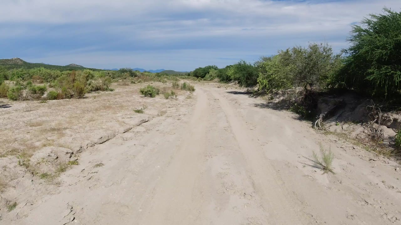 A pale dirt track in Los Cabos, Mexico stretches through dry scrubland with green bushes at the sides and low mountains on the horizon, with no visible people.