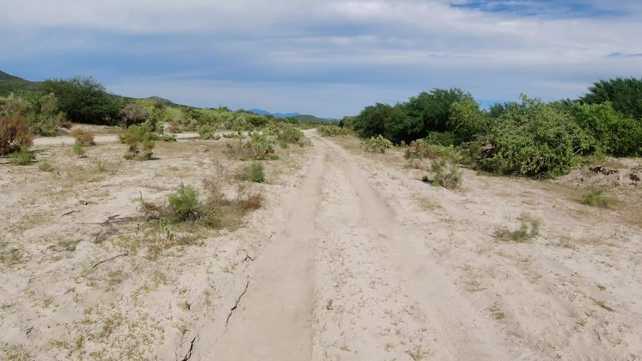 Opening view of a sandy unpaved road in Los Cabos, Mexico, bordered by low desert shrubs and distant hills, with no visible people.