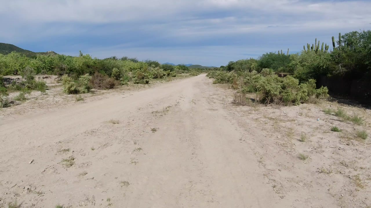 Sandy dirt road bordered by green desert brush under a cloudy blue sky.