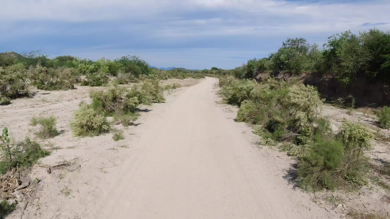 Forward view down a sandy road in Los Cabos, Mexico, bordered by low desert bushes and pale scrub, with no visible people.