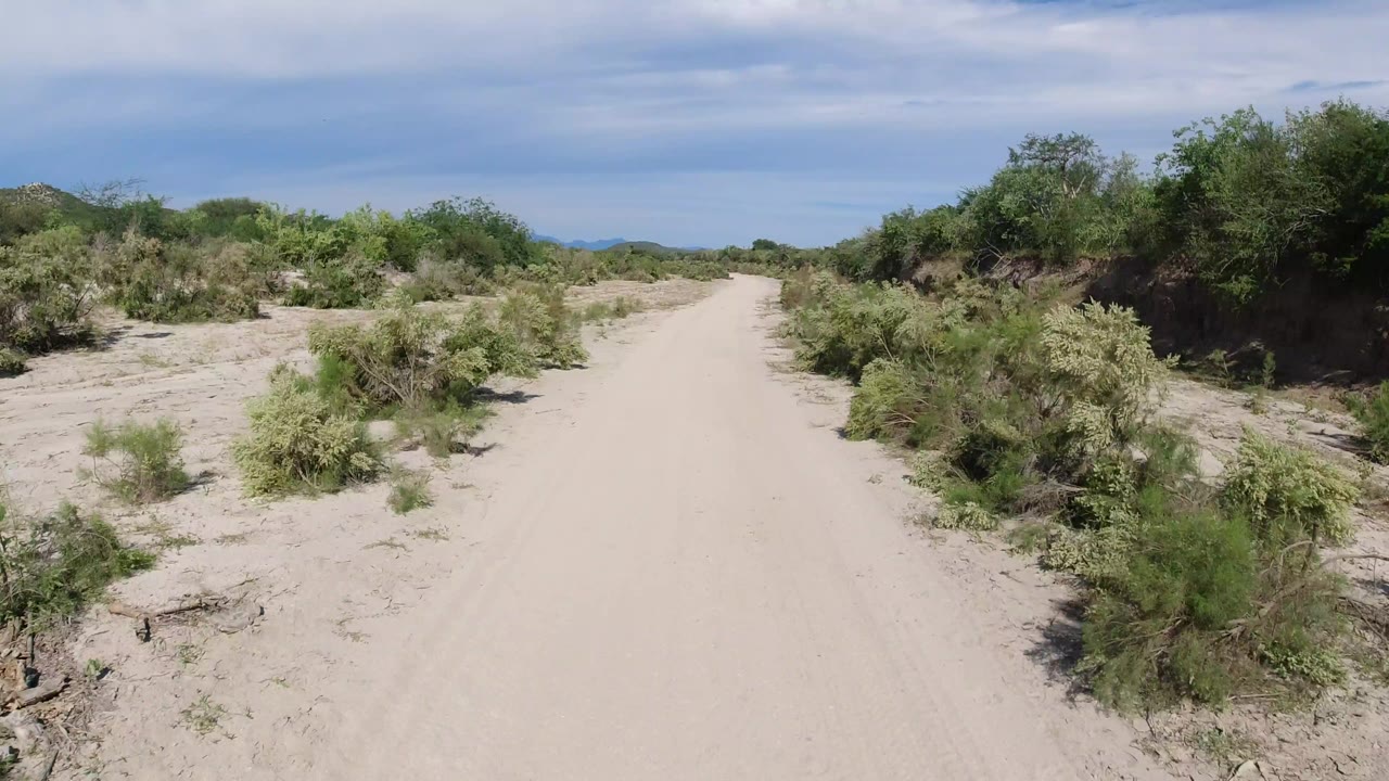 The road continues through Los Cabos desert terrain, with denser green brush on the right, scattered shrubs on the left, and no visible people.