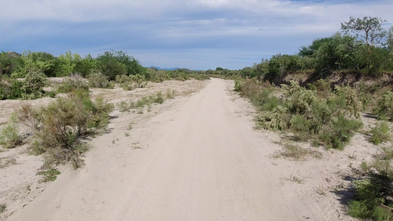 Straight sandy road with desert vegetation and distant low hills.