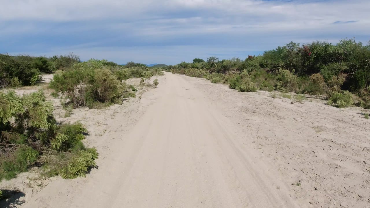Wide dirt road passing green roadside brush in a dry landscape.