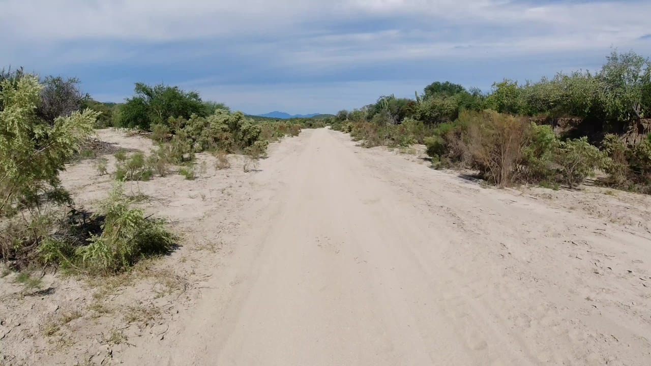Centered sandy road continues through Los Cabos desert brush, with scrub on both shoulders, distant hills, blue sky, and no visible people.