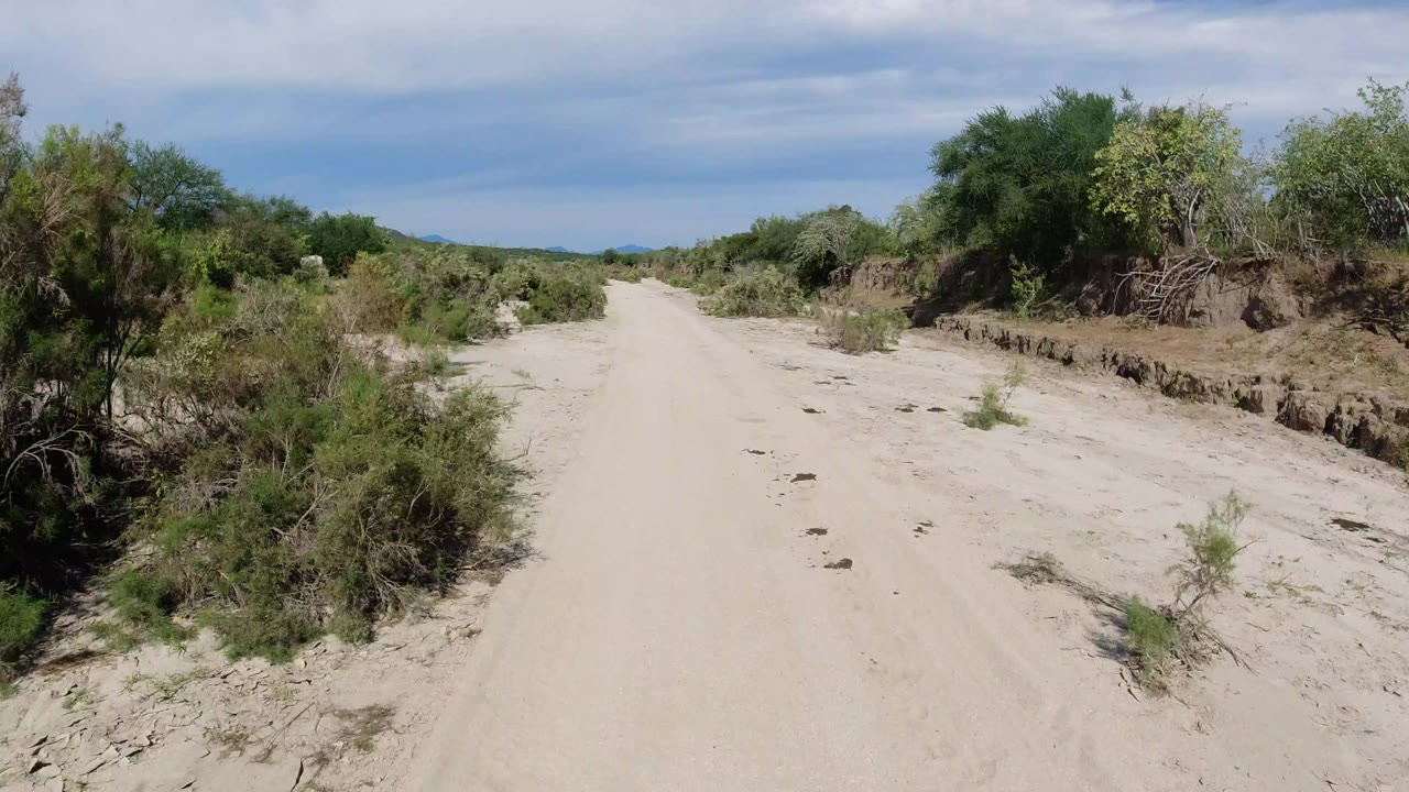 A forward view down the Los Cabos sandy track shows brush crowding the edges, small plants in the roadbed, distant low hills, and no visible people.