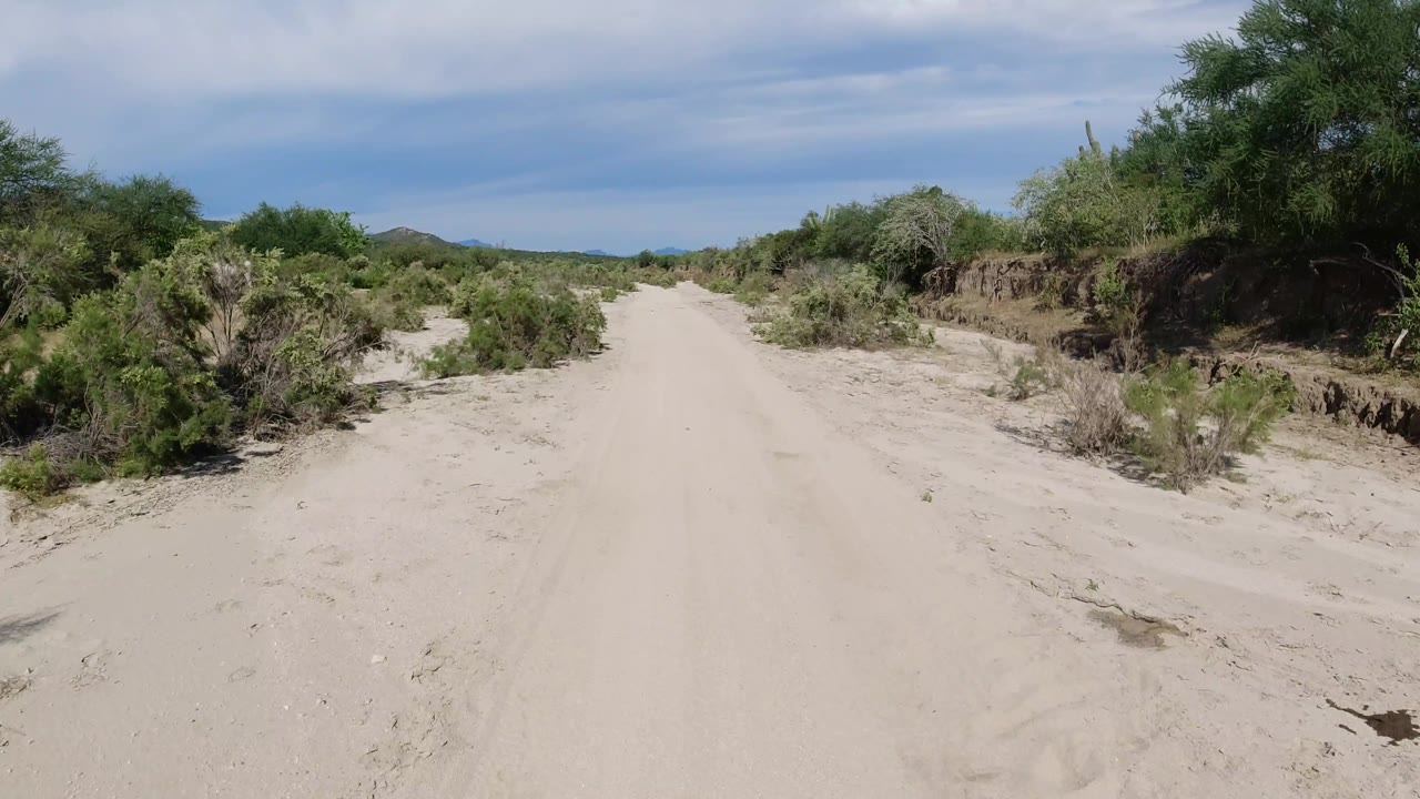 Wide sandy road passing low shrubs, cactus, and eroded banks.