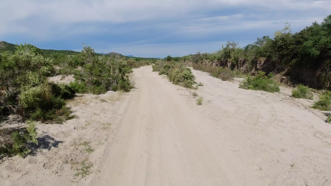Straight sandy track flanked by dense green brush and open sky.