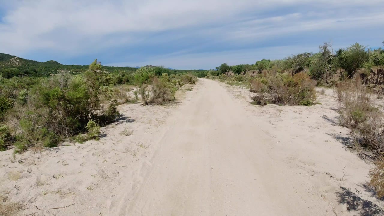 Sandy road through low desert brush under a blue sky.