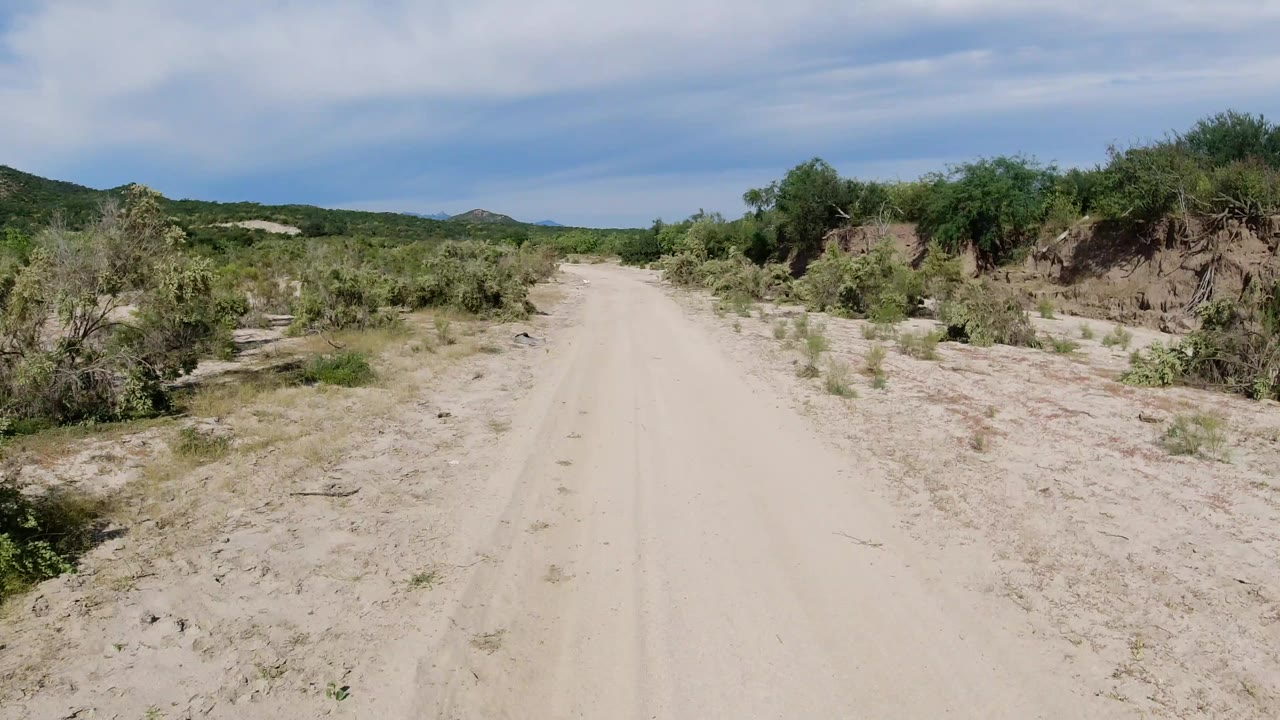 Sandy dirt road through desert scrub under a bright cloudy sky.