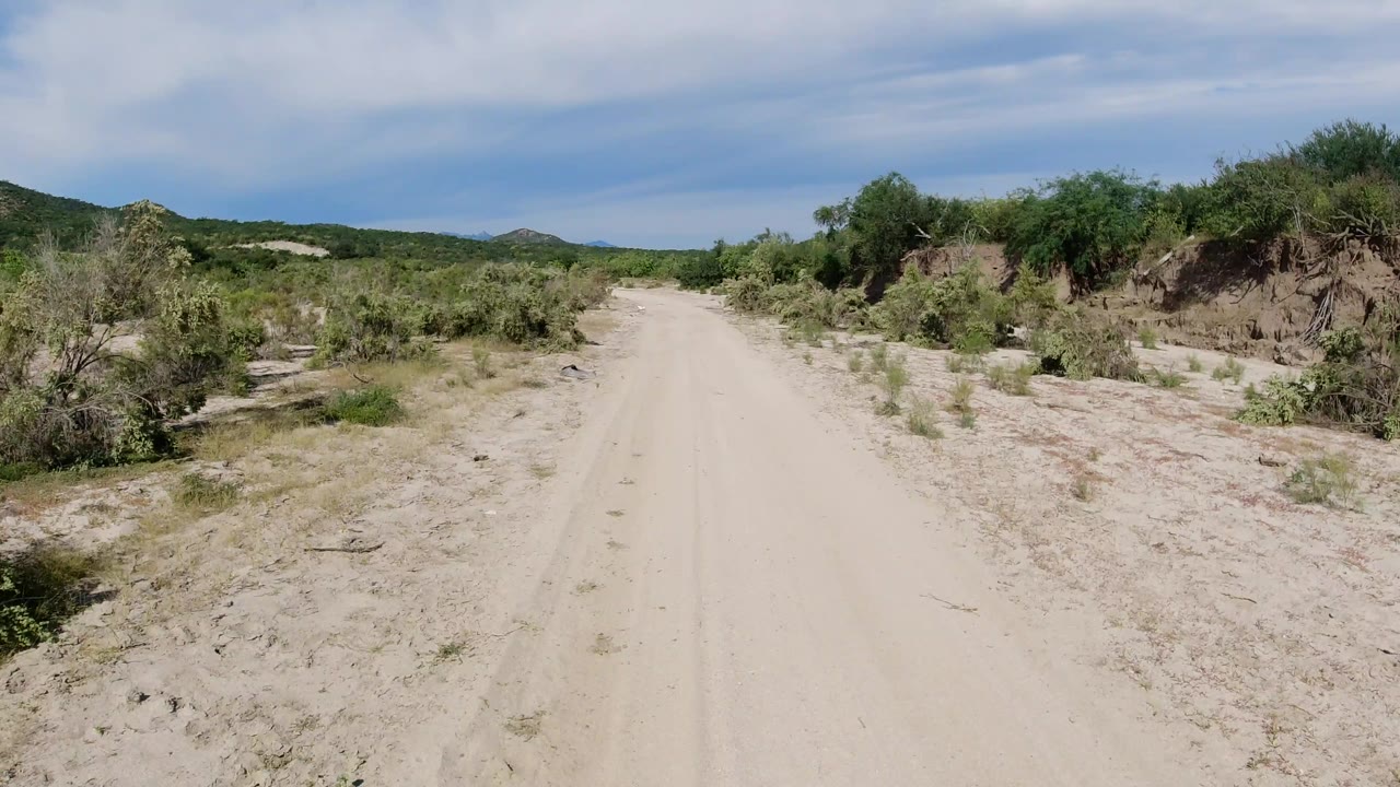 The road remains centered in Los Cabos, Mexico, with scrub bushes crowding the sandy shoulders and low hills visible beyond, with no visible people.
