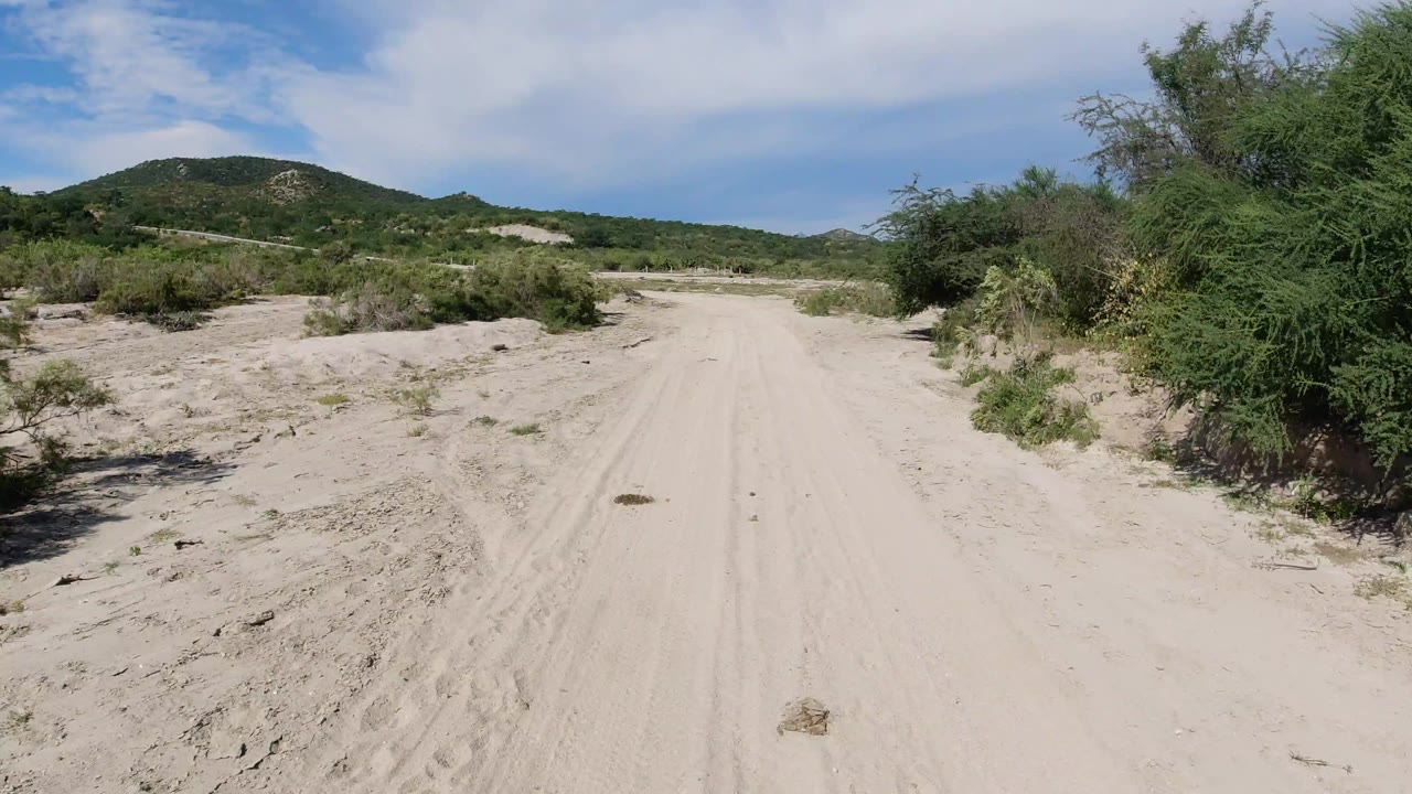 Wide view in Los Cabos, Mexico of a pale sandy track bordered by dry shrubs and green trees, with low hills under a blue sky and no visible people.