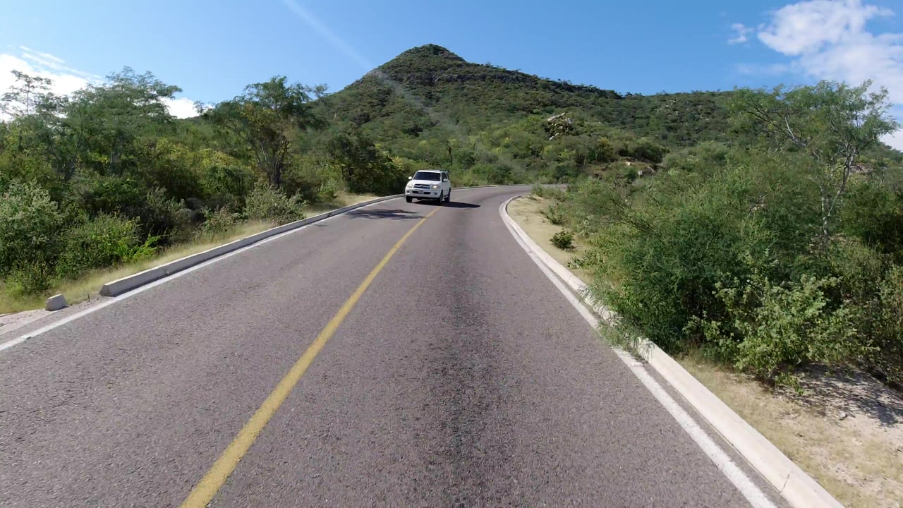 A low road view in Los Cabos, Mexico, with a white vehicle near the curve, dense green shrubs on both sides, a rounded hill ahead, and no visible people.