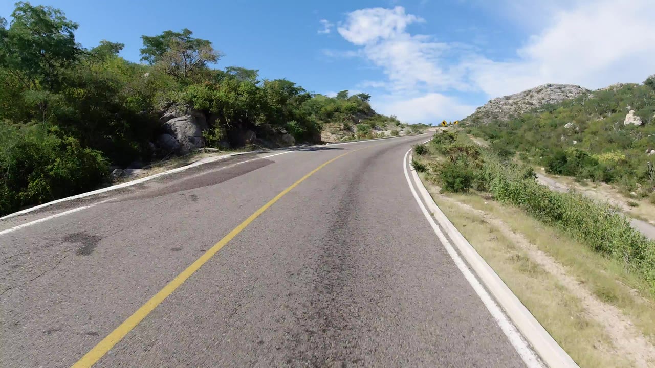 A Los Cabos road runs ahead between green shrubs and rocky hills under a blue sky, with no visible people.