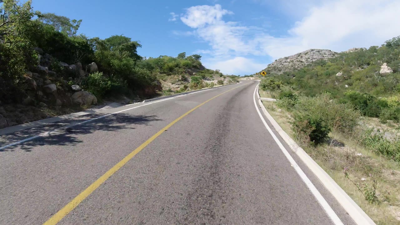 Empty road curving left beside dense shrubs and hillside.
