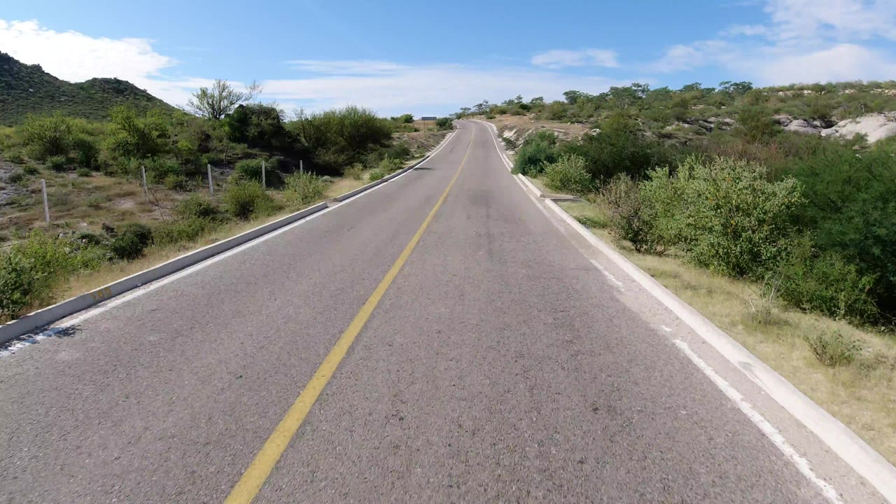 A forward view along the Los Cabos road shows the yellow line leading uphill, dense green shrubs near the right shoulder, a low hill to the left, and no visible people.